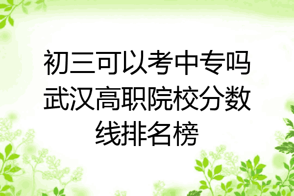 初三可以考中专吗武汉高职院校分数线排名榜