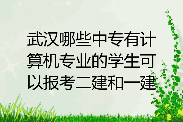 武汉哪些中专有计算机专业的学生可以报考二建和一建