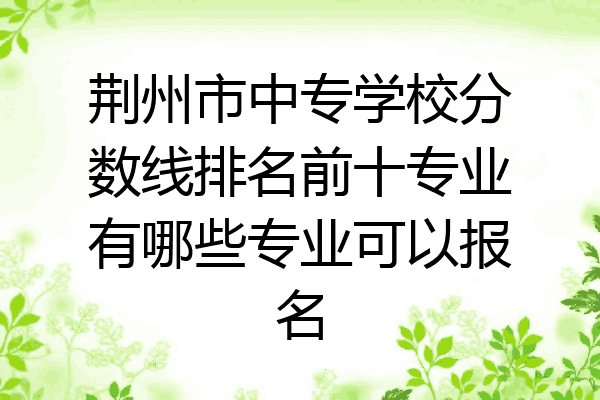 荆州市中专学校分数线排名前十专业有哪些专业可以报名