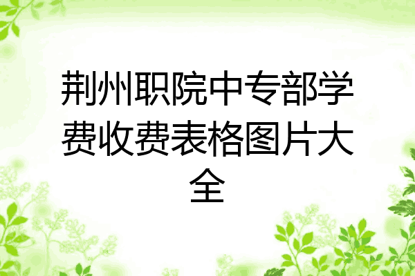荆州职院中专部学费收费表格图片大全