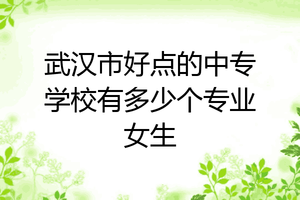 武汉市好点的中专学校有多少个专业女生