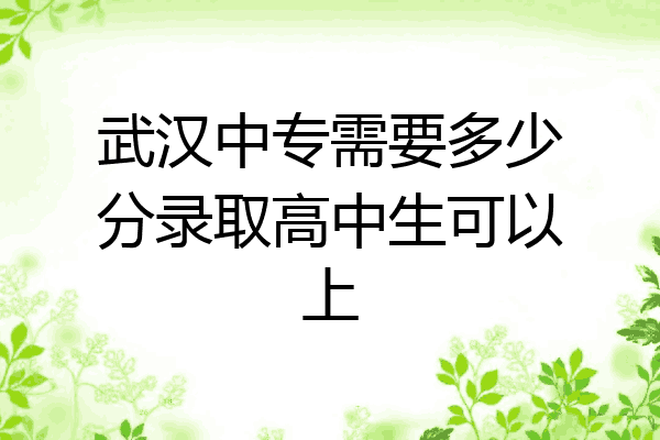武汉中专需要多少分录取高中生可以上