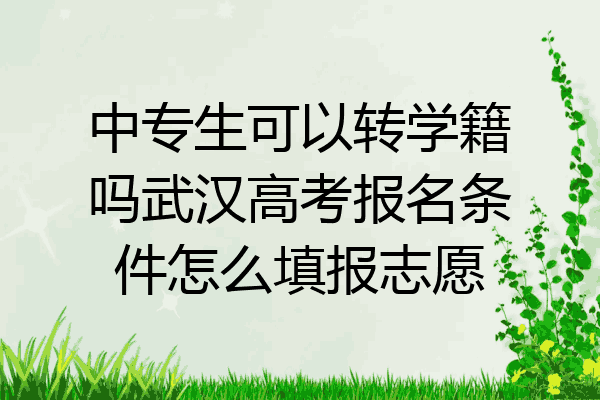 中专生可以转学籍吗武汉高考报名条件怎么填报志愿
