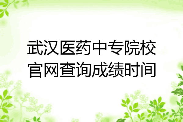 武汉医药中专院校官网查询成绩时间