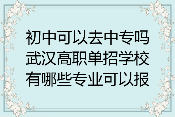 初中可以去中专吗武汉高职单招学校有哪些专业可以报