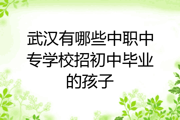 武汉有哪些中职中专学校招初中毕业的孩子