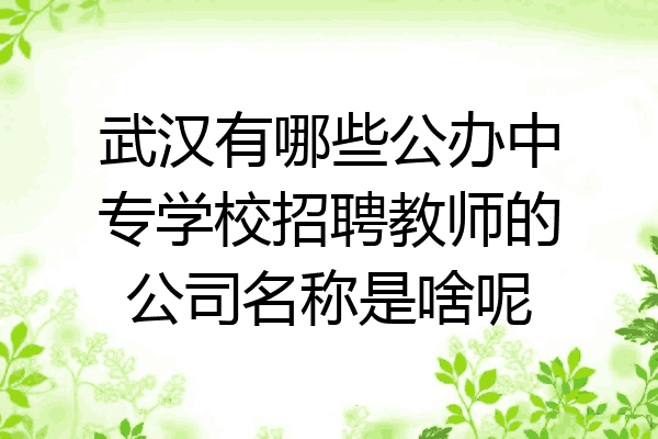 武汉有哪些公办中专学校招聘教师的公司名称是啥呢