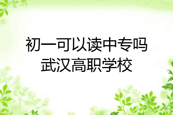 初一可以读中专吗武汉高职学校