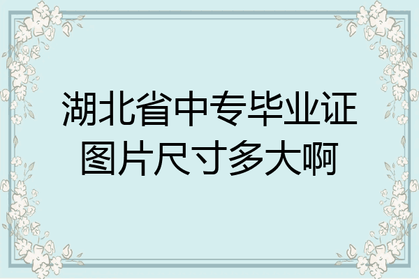湖北省中专毕业证图片尺寸多大啊