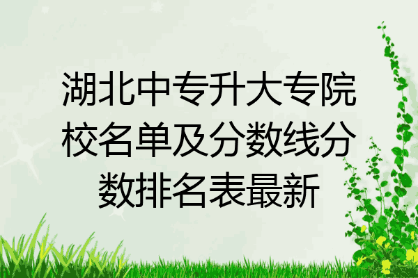 湖北中专升大专院校名单及分数线分数排名表最新