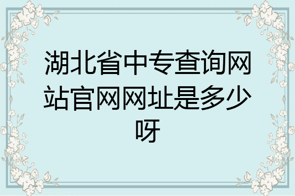 湖北省中专查询网站官网网址是多少呀