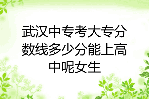 武汉中专考大专分数线多少分能上高中呢女生