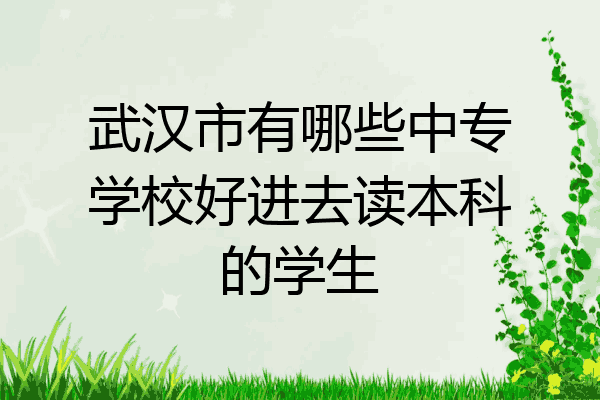 武汉市有哪些中专学校好进去读本科的学生