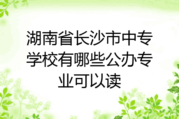 湖南省长沙市中专学校有哪些公办专业可以读