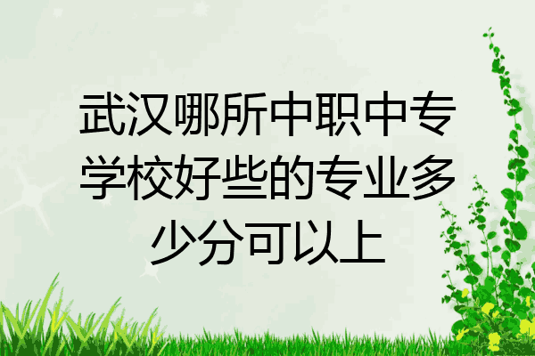 武汉哪所中职中专学校好些的专业多少分可以上