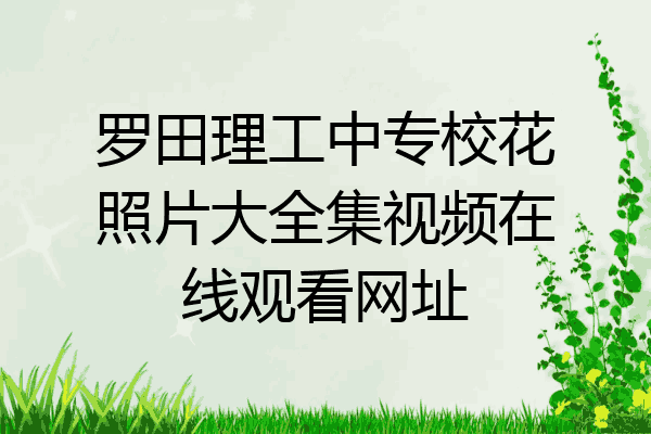 罗田理工中专校花照片大全集视频在线观看网址