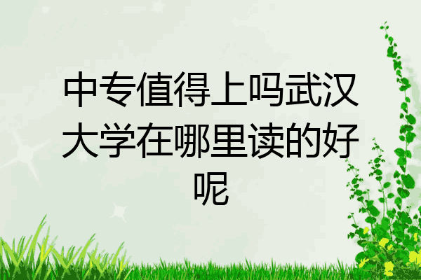 中专值得上吗武汉大学在哪里读的好呢