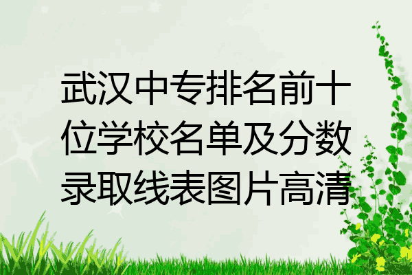 武汉中专排名前十位学校名单及分数录取线表图片高清