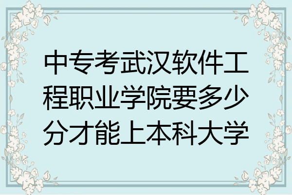 中专考武汉软件工程职业学院要多少分才能上本科大学