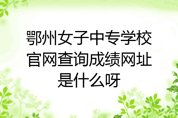 鄂州女子中专学校官网查询成绩网址是什么呀