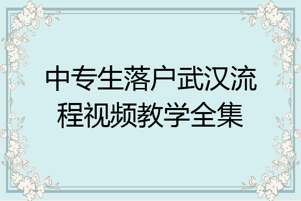 中专生落户武汉流程视频教学全集
