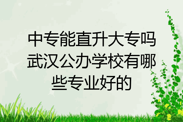 中专能直升大专吗武汉公办学校有哪些专业好的