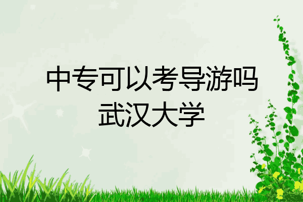 中专可以考导游吗武汉大学