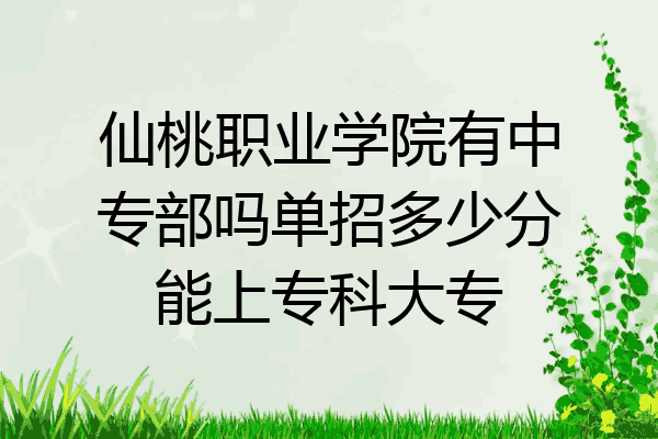 仙桃职业学院有中专部吗单招多少分能上专科大专