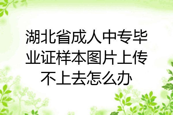 湖北省成人中专毕业证样本图片上传不上去怎么办