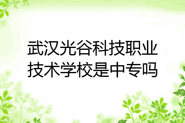 武汉光谷科技职业技术学校是中专吗