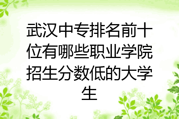 武汉中专排名前十位有哪些职业学院招生分数低的大学生