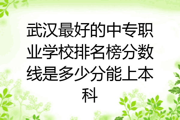 武汉最好的中专职业学校排名榜分数线是多少分能上本科