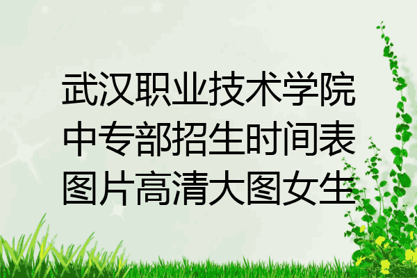 武汉职业技术学院中专部招生时间表图片高清大图女生