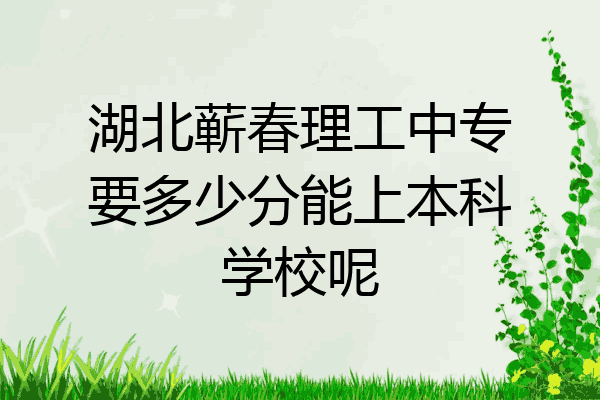 湖北蕲春理工中专要多少分能上本科学校呢