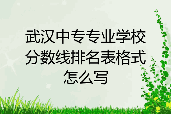 武汉中专专业学校分数线排名表格式怎么写