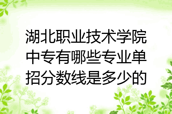 湖北职业技术学院中专有哪些专业单招分数线是多少的