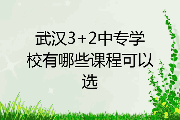 武汉3+2中专学校有哪些课程可以选