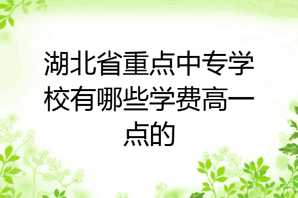 湖北省重点中专学校有哪些学费高一点的