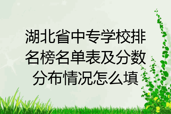 湖北省中专学校排名榜名单表及分数分布情况怎么填