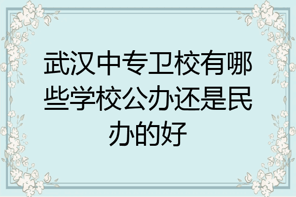 武汉中专卫校有哪些学校公办还是民办的好