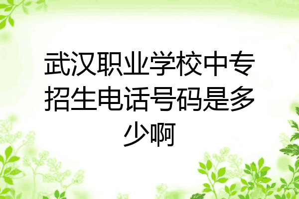 武汉职业学校中专招生电话号码是多少啊