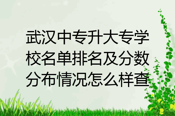 武汉中专升大专学校名单排名及分数分布情况怎么样查