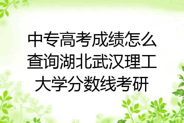 中专高考成绩怎么查询湖北武汉理工大学分数线考研