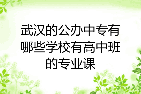 武汉的公办中专有哪些学校有高中班的专业课