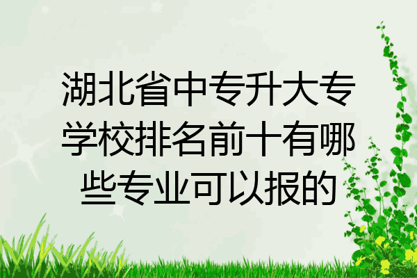 湖北省中专升大专学校排名前十有哪些专业可以报的