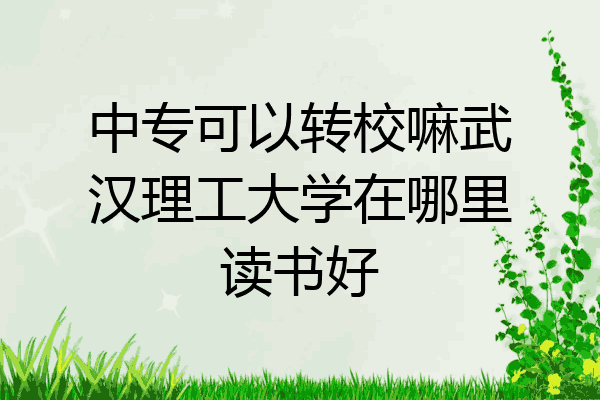 中专可以转校嘛武汉理工大学在哪里读书好