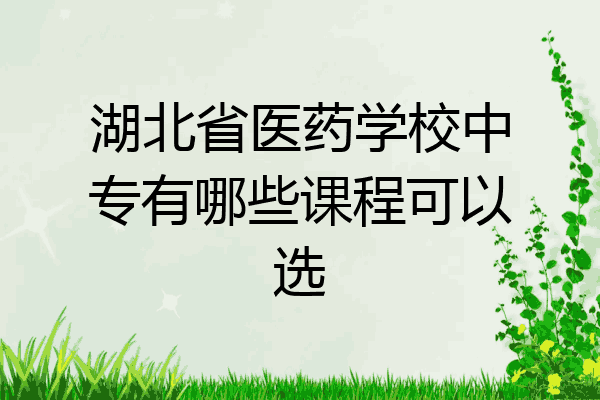 湖北省医药学校中专有哪些课程可以选
