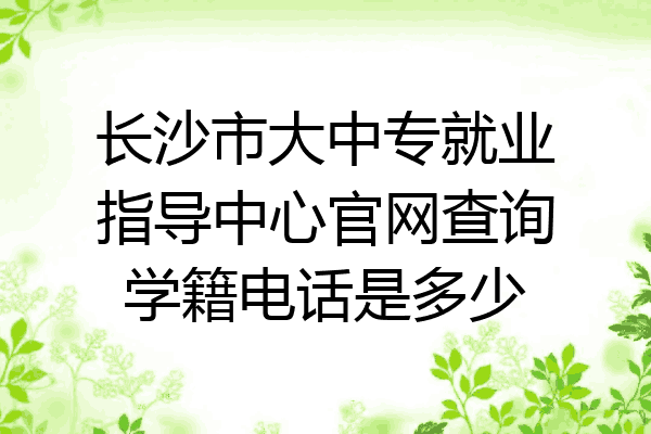 长沙市大中专就业指导中心官网查询学籍电话是多少