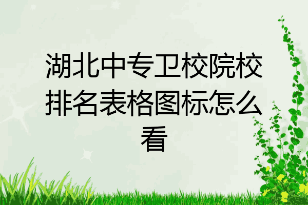 湖北中专卫校院校排名表格图标怎么看