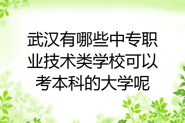 武汉有哪些中专职业技术类学校可以考本科的大学呢